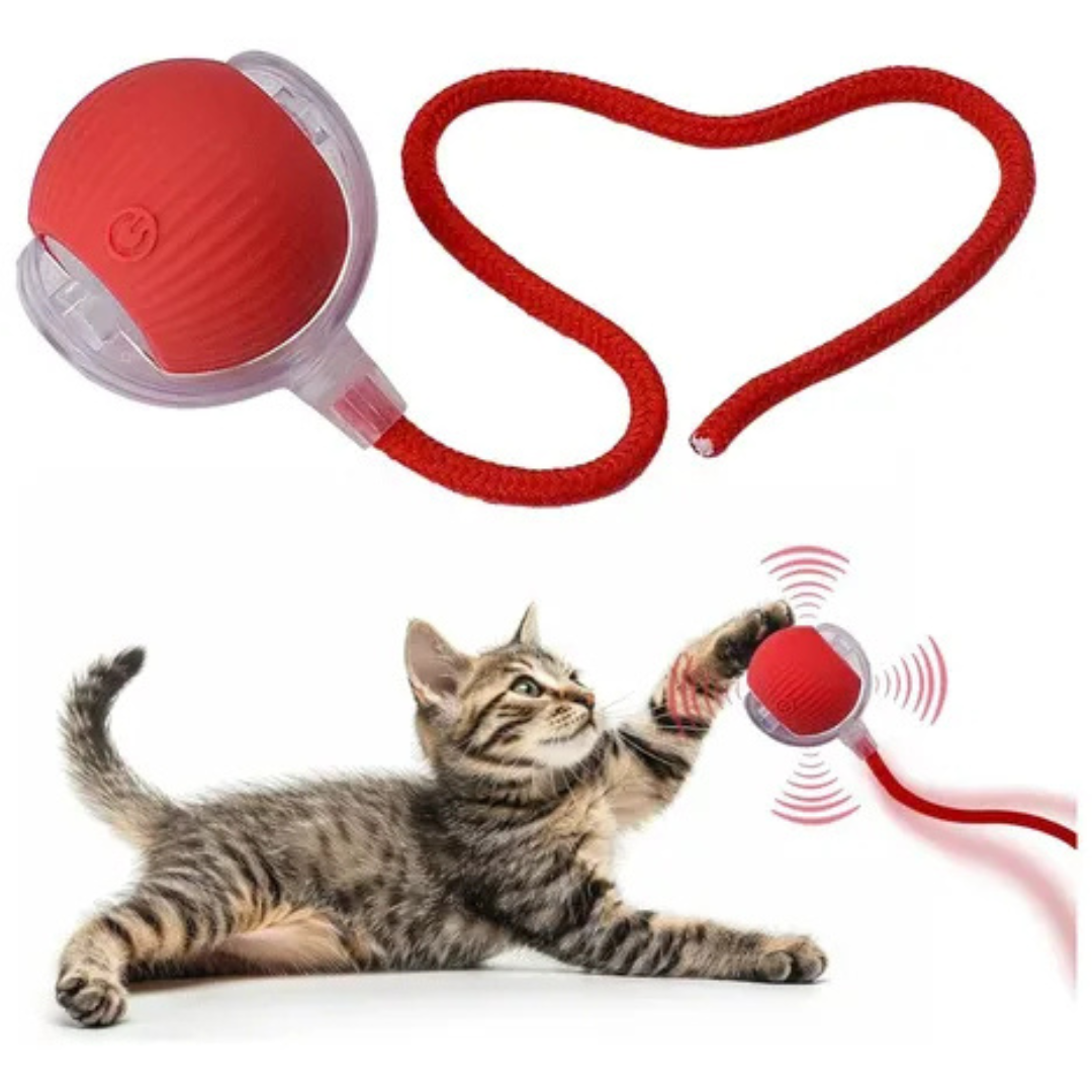 Pelota para Gatos con Soga Juguete Inteligente